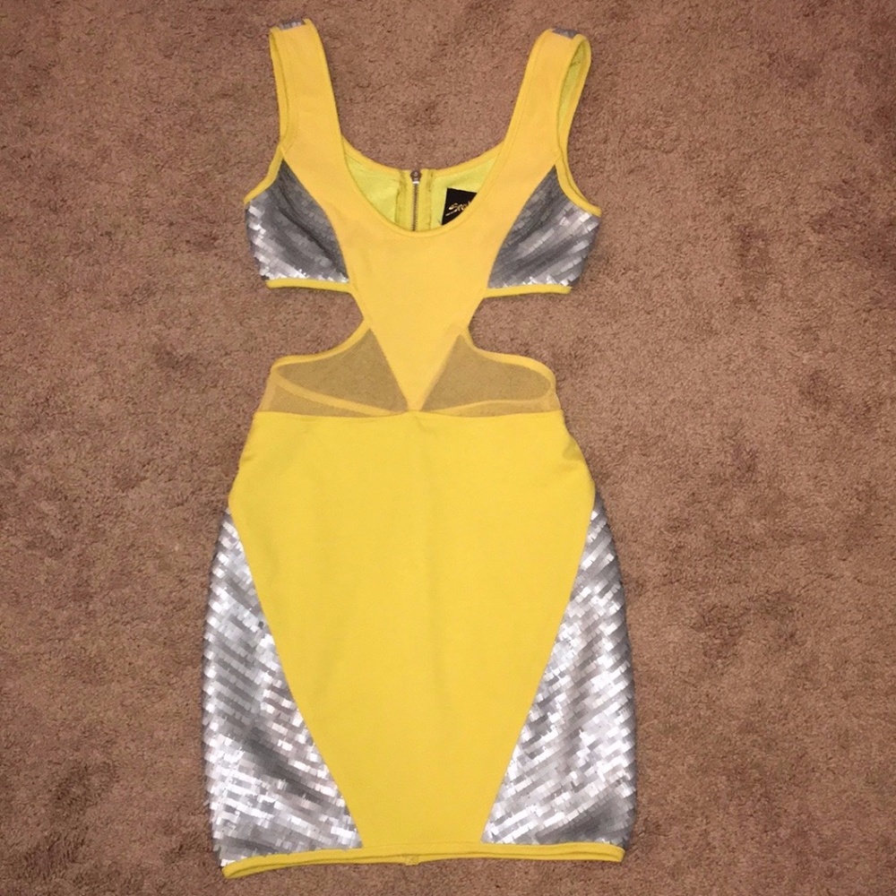 ASOS - Snakebite Cut Out Mesh Panel Dress